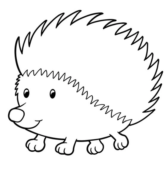 Coloring book hedgehog with haircut